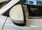Guarnizione per specchietti laterali cromati per HYUNDAI Tucson 2015 Visore specchietto retrovisore fornitore